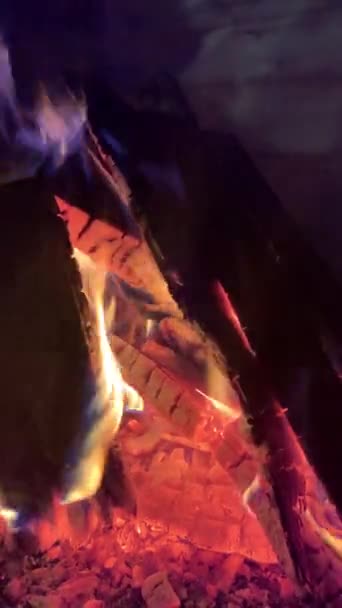 Lagerfeuer Brennt Draußen Schnee Abend — Stockvideo