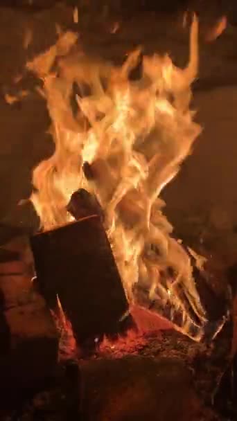 Φωτιά Στη Φωτιά Που Καίει Έξω Στο Χιόνι Σκοτεινό Βράδυ — Αρχείο Βίντεο