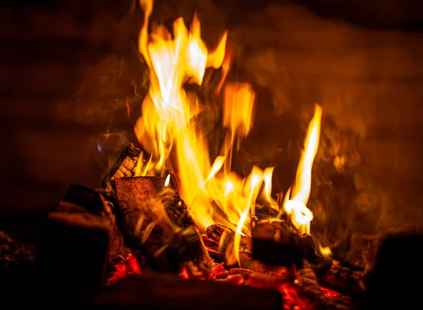 Campfire Burns Snow Night Snow Cold Winter Flame Fire Warms — Stock Photo, Image