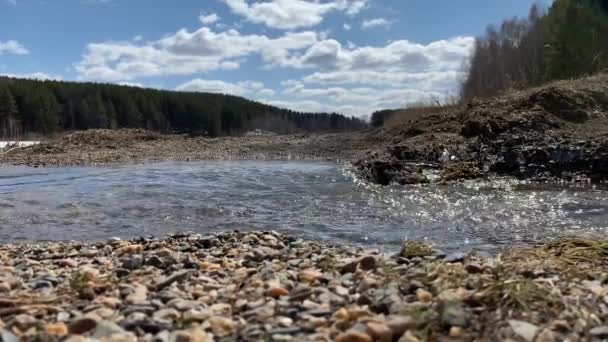 Vårströmmar Naturen Snön Smälter Och Klara Bäckar Rinner Naturen Mot — Stockvideo