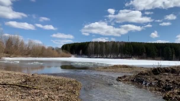 春天是大自然的溪流 雪融化了 清澈的溪流奔流 大自然与蓝天 湖泊和森林的对比 — 图库视频影像