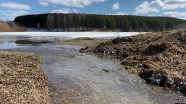 Doğada ilkbahar nehirleri. Karlar erir ve temiz akarsular akar. Doğa mavi gökyüzüne, göllere ve ormanlara karşı. 4K