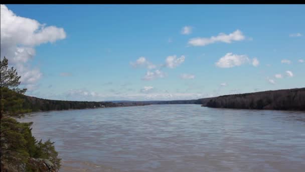 Bred Flod Rinner Genom Skogen Mot Blå Himmel Med Moln — Stockvideo