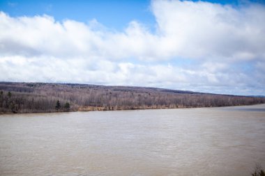 İlkbaharda ormanların arasında güzel, geniş bir nehir. Sessiz ve huzurlu bir yer. Temiz değil, nehirde çamurlu su var. Uzaklığın üst görünümü