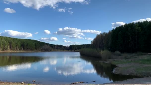 Naturlandskap Sjön Hög Definition Förflyttning Vågor Mot Bakgrund Skogen Reflektion — Stockvideo