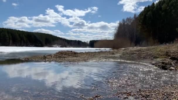 Frühlingsbäche Der Natur Der Schnee Schmilzt Und Klare Bäche Fließen — Stockvideo
