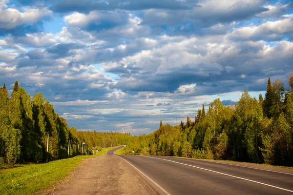 Camino de campo con marcas en medio del bosque. — Foto de Stock