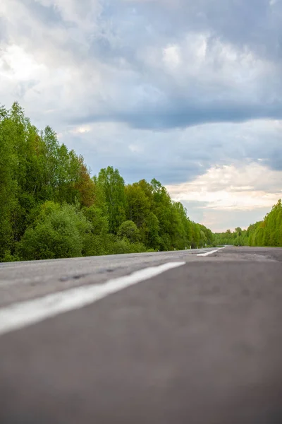 Ormanın Ortasında Işaretli Köy Yolu Yol Güneşte Ileri Hareket Baharda — Stok fotoğraf