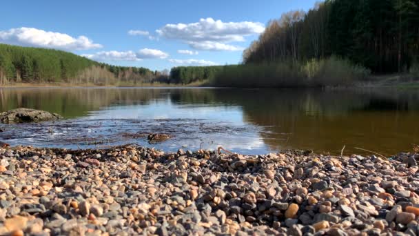 Naturlandskap Sjön Hög Definition Förflyttning Vågor Mot Bakgrund Skogen Reflektion — Stockvideo