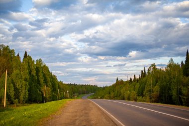Ormanın ortasında işaretli köy yolu. Yol ve güneşte ileri hareket. Baharda gün batımında güzel, yeşil bir orman. Gelecekteki hedefte başarı ve zaman geçirme kavramı