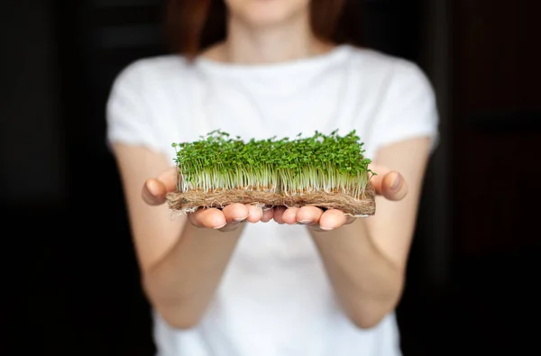 Una Mujer Tiene Micro Verdes Cultivados Casa Sus Manos Comida —  Fotos de Stock