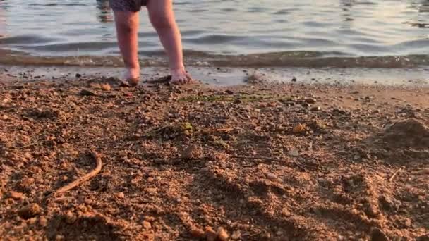 Petit Enfant Joue Sur Plage Près Étang Coucher Soleil Construit — Video