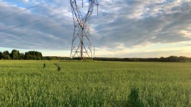 Metal kutuplar yazın tarlalardaki yüksek voltajlı kablolar için elektrik destekleri. Yüksek voltaj kutupları veya elektrik kulesi yeşil alan enerji teknolojisi kavramında yüksek voltajlı iletim yeridir.