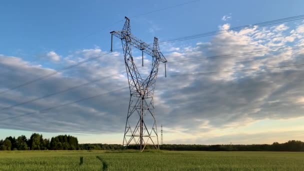 Металеві Стовпи Електричні Опори Високовольтних Проводів Полях Влітку Високовольтні Поля — стокове відео