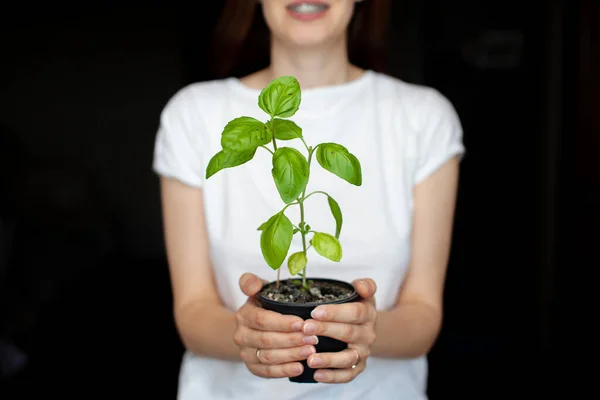 Una Niña Con Una Camiseta Blanca Sostiene Una Maceta Con — Foto de Stock