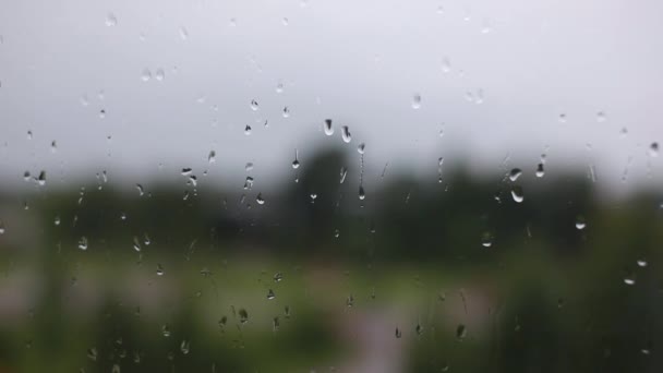 Jour de pluie à travers la fenêtre sur le ciel et les bâtiments de la ville fond — Video