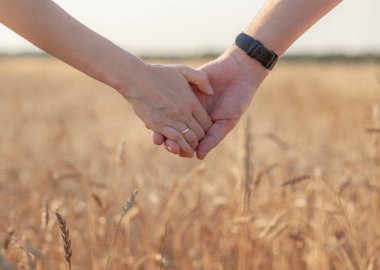 Aşk konsepti. Gün batımında el ele tutuşan bir çift, aşk ve mutlu bir ilişkinin sembolü. Birbirine aşık genç bir çift gün batımında buğday tarlasında yürüyor, el ele tutuşuyor ve gün batımını seyrediyor.