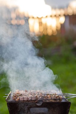 Izgarada bir sürü sulu et kebabı var. Gün batımında et parçaları ızgarada metal şişler üzerine asılmış. Çok dumanlı kebap pişirme süreci. Doğada yemek pişirmek