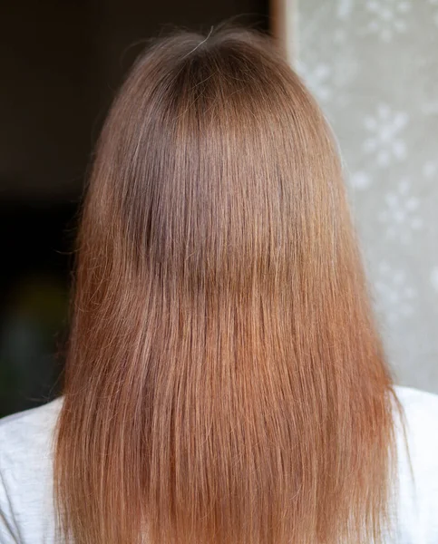 Una Chica Con Pelo Largo Liso Hermoso Castaño Cuidado Del — Foto de Stock