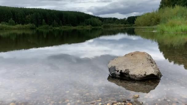 Naturalny Krajobraz Jeziora Wysoka Rozdzielczo Ruch Fal Tle Lasu Odbicie — Wideo stockowe