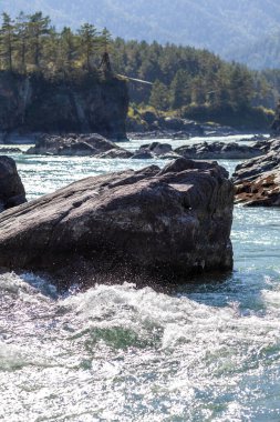 Hızlı akan geniş ve tamamen akan bir dağ nehri. Büyük kayalar sudan dışarı çıkar. Büyük dağ nehri Katun, turkuaz renk, Altai Dağları, Altai Cumhuriyeti.