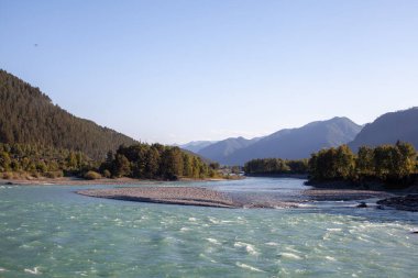 Hızlı akan geniş ve tamamen akan bir dağ nehri. Büyük kayalar sudan dışarı çıkar. Büyük dağ nehri Katun, turkuaz renk, Altai Dağları, Altai Cumhuriyeti.
