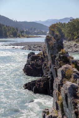 Hızlı akan geniş ve tamamen akan bir dağ nehri. Büyük kayalar sudan dışarı çıkar. Büyük dağ nehri Katun, turkuaz renk, Altai Dağları, Altai Cumhuriyeti.