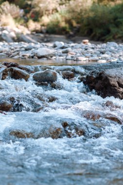 Hızlı akan geniş ve tamamen akan bir dağ nehri. Büyük kayalar sudan dışarı çıkar. Büyük dağ nehri Katun, turkuaz renk, Altai Dağları, Altai Cumhuriyeti.