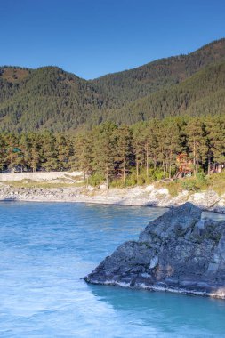 Hızlı akan geniş ve tamamen akan bir dağ nehri. Büyük kayalar sudan dışarı çıkar. Büyük dağ nehri Katun, turkuaz renk, Altai Dağları, Altai Cumhuriyeti.