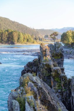 Hızlı akan geniş ve tamamen akan bir dağ nehri. Büyük kayalar sudan dışarı çıkar. Büyük dağ nehri Katun, turkuaz renk, Altai Dağları, Altai Cumhuriyeti.