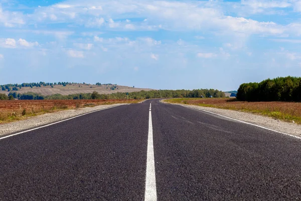 Doğa Arka Planında Bir Işaret Olan Düz Yol Gelecekte Açık — Stok fotoğraf