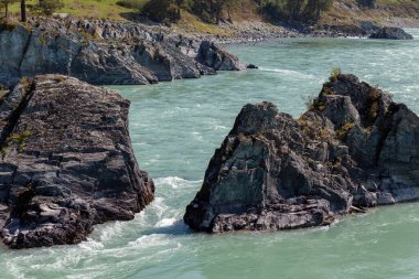 Hızlı akan geniş ve tamamen akan bir dağ nehri. Büyük kayalar sudan dışarı çıkar. Büyük dağ nehri Katun, turkuaz renk, Altai Dağları, Altai Cumhuriyeti.