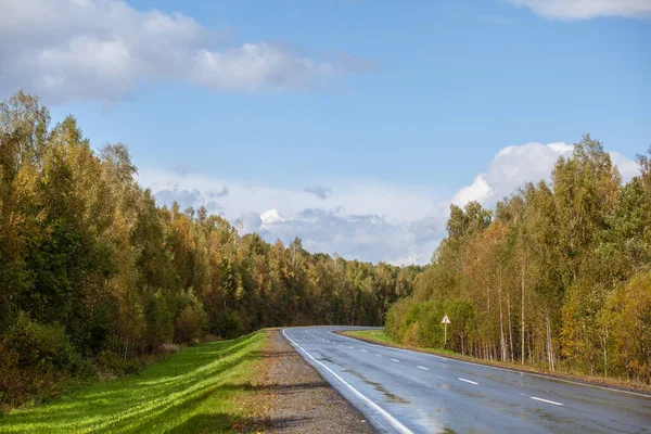 Camino Recto Con Una Marca Fondo Naturaleza Camino Abierto Futuro — Foto de Stock