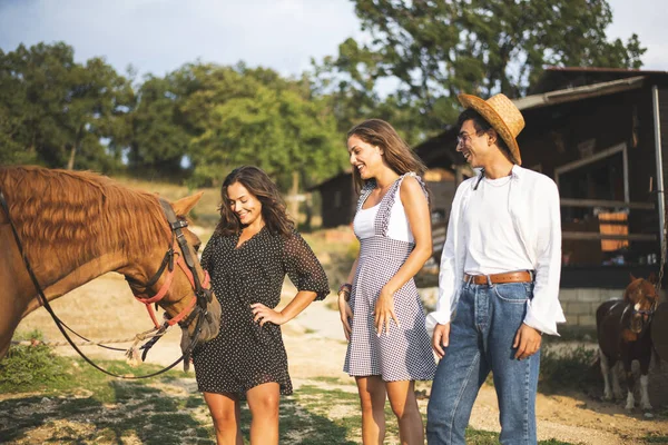 ブラウンホースの牧場で3人の友人が笑って楽しんでいます 牧場のコンセプト写真 — ストック写真