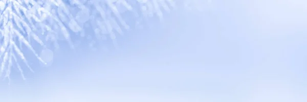 Різдвяний святковий банер. Розмитий світло-блакитний фон з білими гілочками, покритими снігом з боке та місцем для тексту . — стокове фото