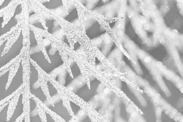 Xmas festive abstract backdrop of sparkling white decorative twigs in sharpness and blurry on light grey. Soft focus. — Stock Photo, Image