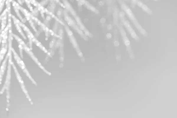 Xmas şenlikli soyut, parlak beyaz dekoratif dallarla dolu parlak, açık gri arkaplan bulanıklaştırdı. Bulanık resim.