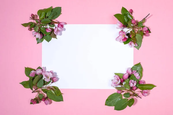 ピンクの背景に空の白いシートの隅に置かれたリンゴの木の小枝や桜を咲かせます。コピースペース。トップ表示. — ストック写真