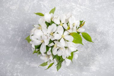 Açık gri arkaplanda çiçek açan beyaz elma dalı buketi. Anneler Günü, Sevgililer Günü, Doğum günü Çiçek kavramını tebrik ederim. Tebrik kartı. Üst Manzara. Seçici odak.