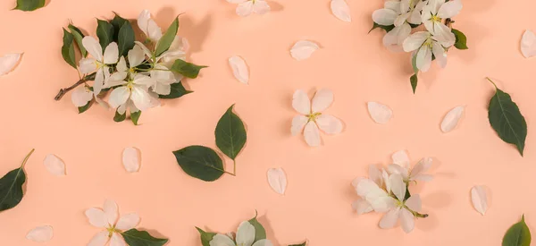 フラットレイアウトの花の配置を持つバナー 白りんごの木の小枝 花や葉がベージュの背景にあります 休日の母の日 バレンタインデー ウェディングレトロな花の組成 トップ表示 — ストック写真