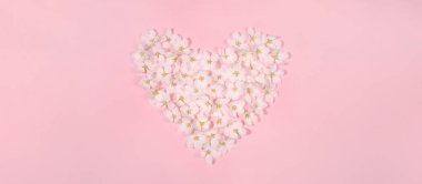 Şekil kalpli şenlikli çiçek pankartı beyaz elma ağacından çiçekleri kopyalanmış pembe arka planda..