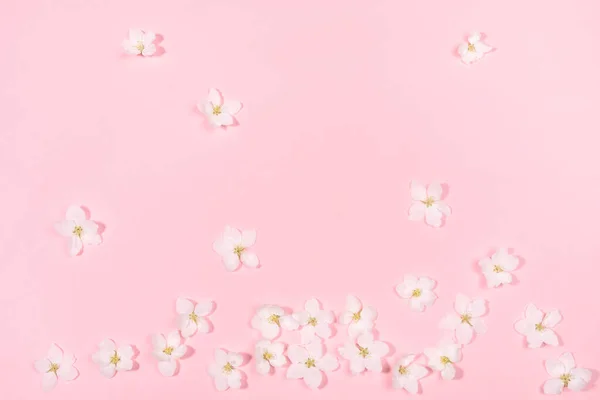 ピンク色の背景に混沌としたレイアウト白いリンゴの木の花で作られた花の穏やかな背景。トップビュー、フラットレイアウト. — ストック写真