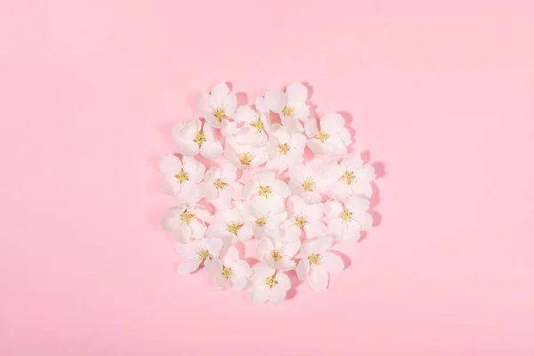 白いリンゴの木の花で覆われた形の円を持つお祭りの背景穏やかなピンクのテキストのためのコピースペース. — ストック写真