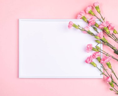 Festive minimal horizontal background with frame with white copy space and carnation flowers on pastel pink.