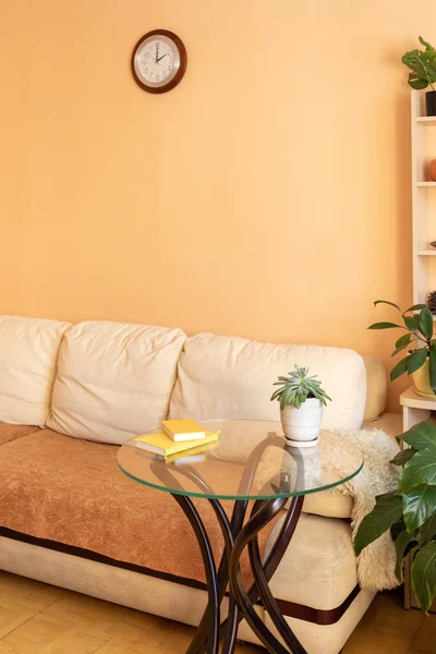Fragment vertical de la maison à la mode véritable intérieur confortable pour la détente avec des plantes de serre. — Photo