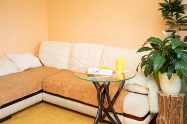 Ev bitkileriyle rahatlamak için çok rahat bir yer. Eğilim - evde doğa.