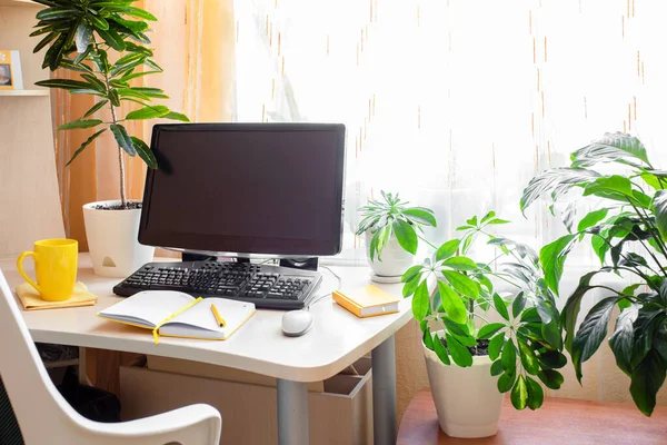 Tempat kerja nyata dengan meja, dimatikan komputer, tanaman rumah kaca, cangkir kuning dan notepad dekat jendela. — Stok Foto