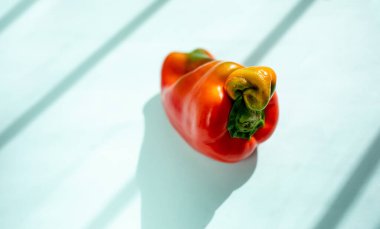 Açık turkuaz arka planda çirkin turuncu biber ve son moda çizgili gölgeler. Taze sağlıklı organik sebzeler. Sıfır yiyecek konsepti. Makul tüketim. Uzayı kopyala Seçici odak.