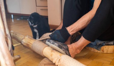 Adam evde kedi ağacı yapıyor. Kediler ilgilenir.