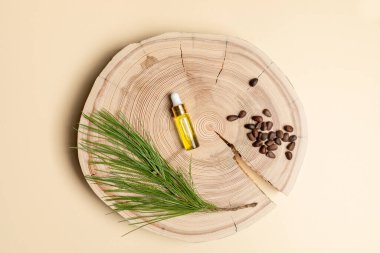 Kozalaklı spa aromalı küçük cam şişe sedir yağı, dal, ahşap testereyle kesilmiş fındık bej arka planda..
